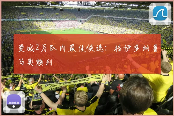 曼城2月队内最佳候选：格伊多纳鲁马奥赖利